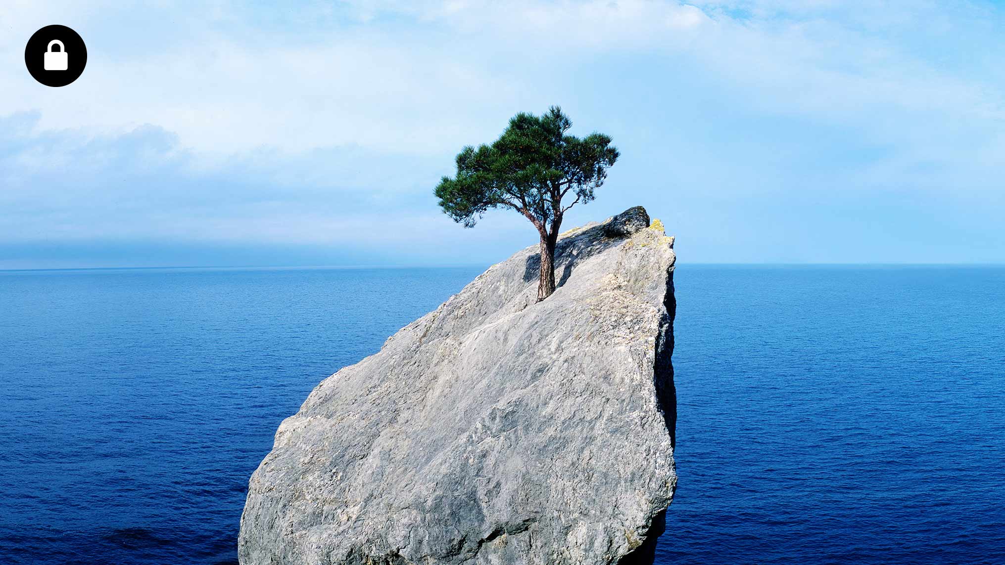 How to Play the Resilience Game