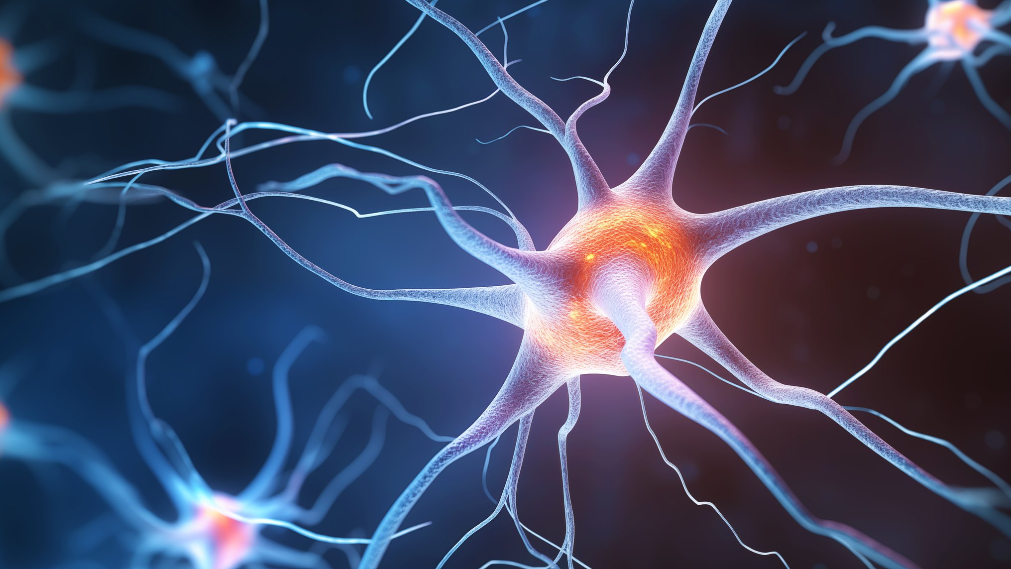 The Neuroscience of Trust, Fear, and Human Cooperation
