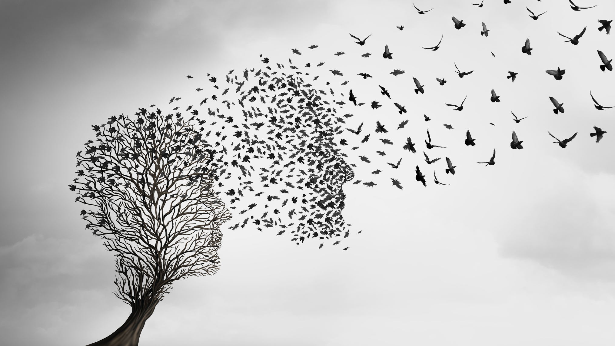Why Teams Stop Following Leaders They Once Believed In