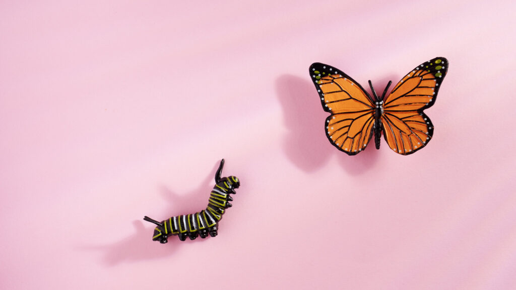 A small black caterpillar with green and white stripes and a bright orange monarch butterfly rest on a soft pink background, the caterpillar at the bottom left and the butterfly at the top right. The image represents transformation and growth, the journey from who you are now to who you are becoming.