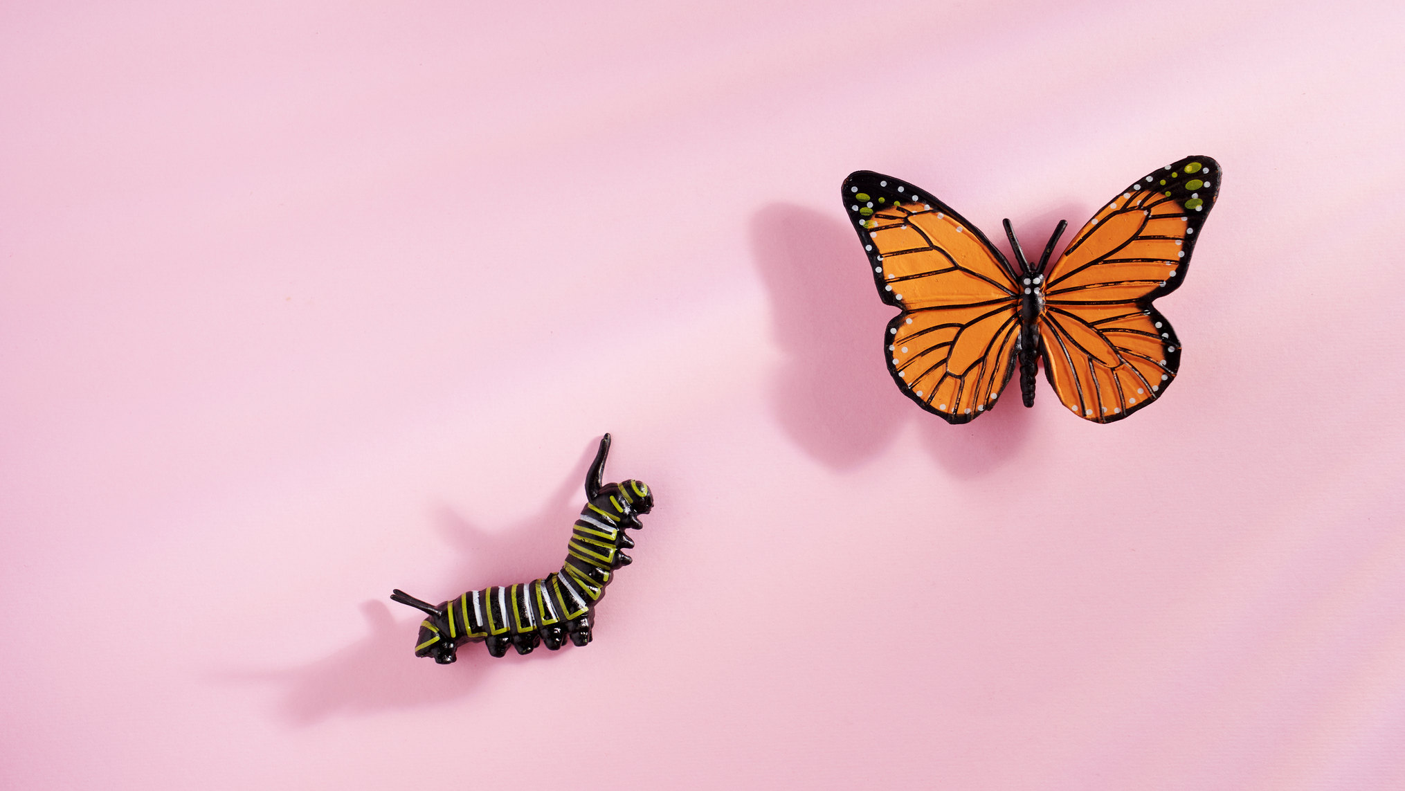 Why “I Hear You” Means Nothing Without Changed Behavior
