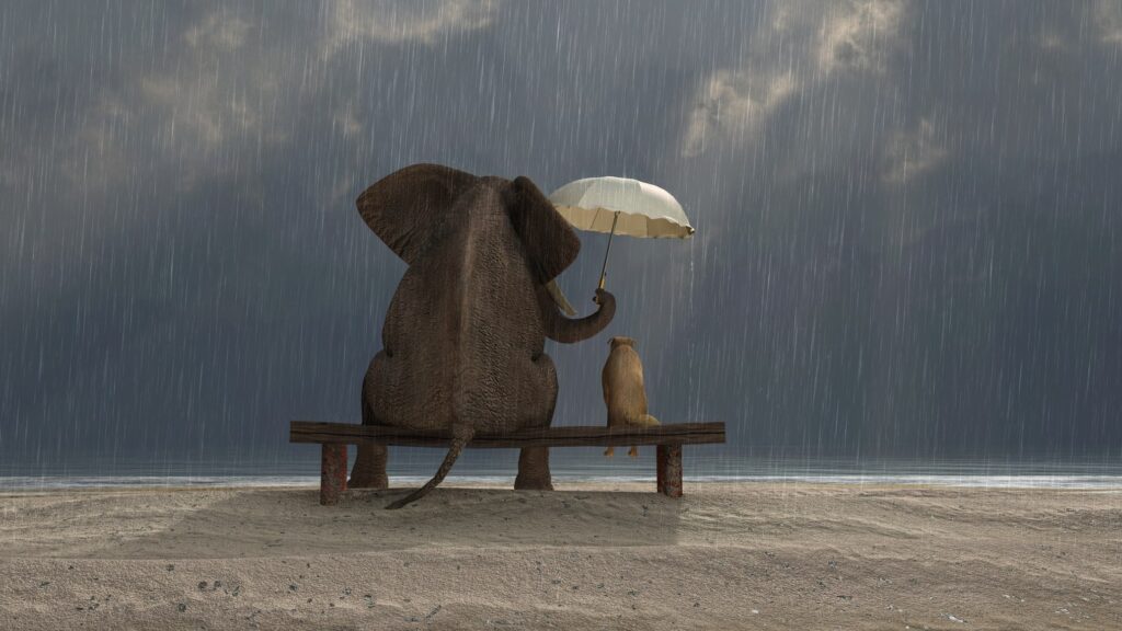 An elephant and a small dog sit side by side on a wooden bench on a beach in the pouring rain, seen from behind, as the elephant holds a white umbrella over the dog with its trunk while getting soaked itself. The image represents the protective instincts we build to shelter what feels vulnerable, and the cost of keeping them up long after the storm has passed.