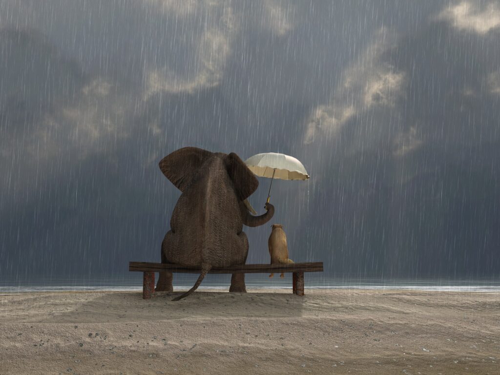An elephant and a small dog sit side by side on a wooden bench on a beach in the pouring rain, seen from behind, as the elephant holds a white umbrella over the dog with its trunk while getting soaked itself. The image represents the protective instincts we build to shelter what feels vulnerable, and the cost of keeping them up long after the storm has passed.