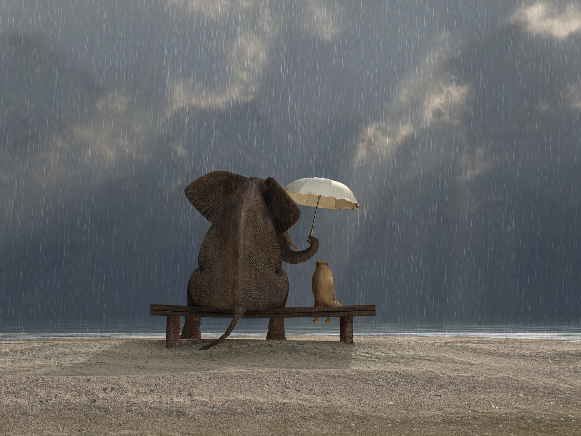 An elephant and a small dog sit side by side on a wooden bench on a beach in the pouring rain, seen from behind, as the elephant holds a white umbrella over the dog with its trunk while getting soaked itself. The image represents the protective instincts we build to shelter what feels vulnerable, and the cost of keeping them up long after the storm has passed.